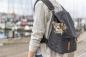 Preview: Be Nordic Rucksack Bjorn Schwarz Trixie